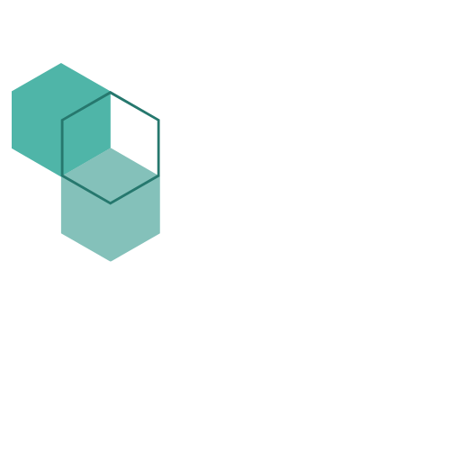 Sustainable Cleaning Solutions